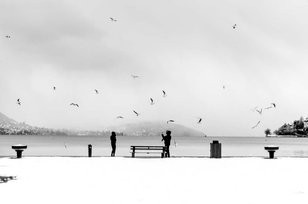 Annecy Seagulls